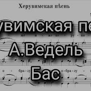 Херувимская Бас