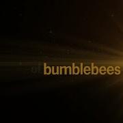 Bumblebee Abba