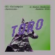 Toro Andre Vii Remix I Hate Models Edit