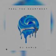 Dj Gamid Feel The Heartbeat