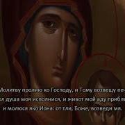 Канон Молебный Ко Пресвятой Богородице С Субтитрами
