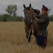 Виктор Сорокин Сотник