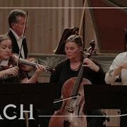 Bach Concerto For Two Violin Piano And Orchestra