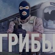 Грибы Тает Лед Пародия Cs Go