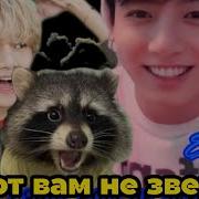 Тенот Вам Не Зверек Фф