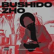 Bushido Zho 45 223 44