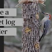 How To Make A Log Bird Feeder