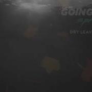 Bondi Dry Leaves Awake