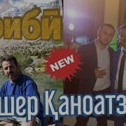 Алишер Каноатзода Гариби