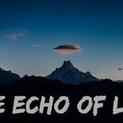 Echo Of Life