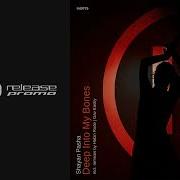Shayan Pasha Deep Into My Bones Hobin Rude Remix