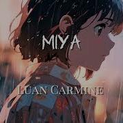 Luan Carmine Miya