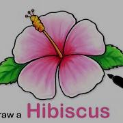 How To Draw Hibiscus Flower Easy