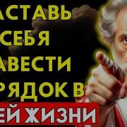 Заставь Себя Навести Порядок В Жизни Иначе Всё Развалится 10 Уроков Стоицизма