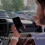 Муйи Сари Тилоранг Дори Диловар