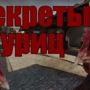 У Куриц Есть Секреты Cs Go