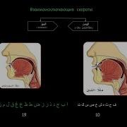 2 Курс 15 Урок Сыфаты Аль Х1Амс И Аль Джах1Р