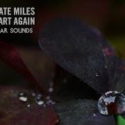 Vocal Trance Saket Kate Miles Empty Heart Again Molekular Sounds Lyrics