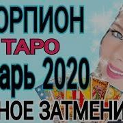 Скорпион Январь 2020 Гороскоп Любимый Дом И Семья Затмение 10 Января