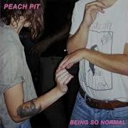 Peach Pit Not Me