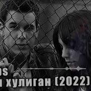 Хулиган 2022