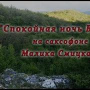 Спокойная Ночь В Цой На Саксофоне Малика Смицкая