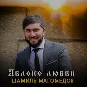 Шамиль Магомедов Яблоко Люби Яблоко