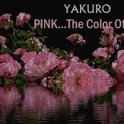 Pink The Color Of Love