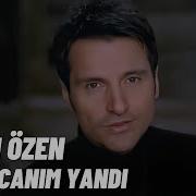 Sinan Özel