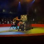 Цирковое Шоу Тропикана Kobzov Circus В Николаеве 03 05 14 Воздушные Акробаты