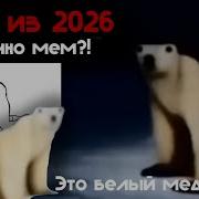 Белый Медведь Ходит Мем