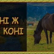 Українські Пісні Про Кохання Коні Ж Мої Коні