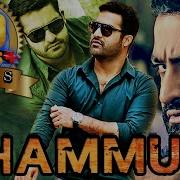 Dhammu Dammu Telugu Hindi Dubbed Full Movie Jr Ntr Trisha Krishnan