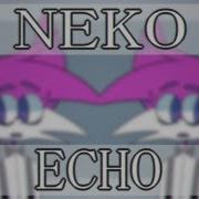 Neko Echo Animation Meme