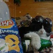 Клёво Дома Прайм Праймович