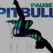 Pitbull Pause Audio