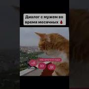 Диалог Прикольный Мужа И Жены