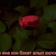Сенлем Туган Конен Белэн