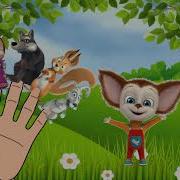 Маша И Медведь Семья Пальчиков Finger Family Finger Family Songs