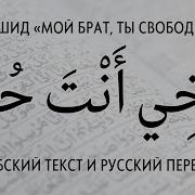 Нашид Ахи Анта Хуррун Брат Ты Свободен أخي أنت حر نشيد