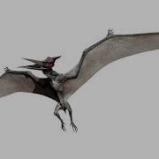 Pteranodon Sound