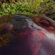 Luna Handpan D Minor