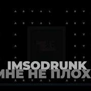 Imsodrunk Мне Не Плохо
