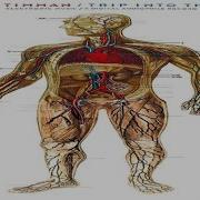 Johan Timman Trip Into The Body