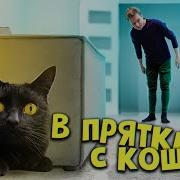 Прятки С Котиком