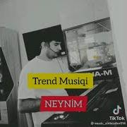 Neynim Remix