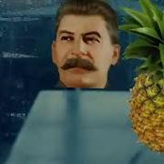 Ананас На Столе Сталин В Столе