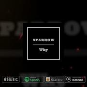 Why Sparrow