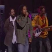 Stephen Marley Damian Marley Hey Baby Live