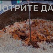 Плов Оши Софи По Бухарский От А До Я Уктам Ака Шеф Повар Plov Oshi